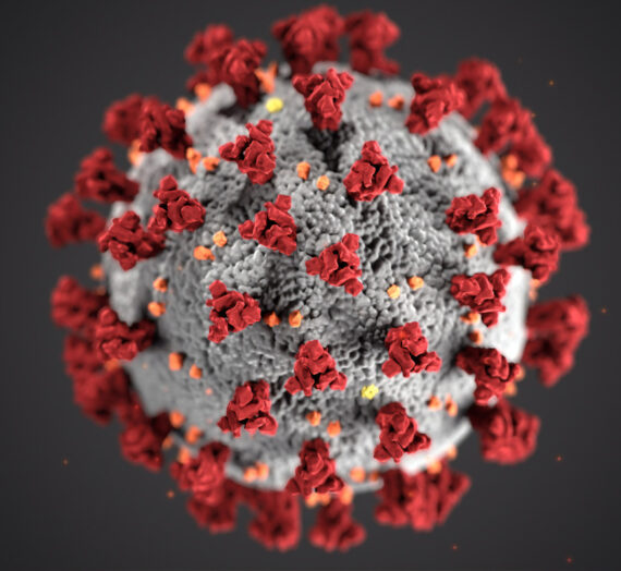 Le coronavirus en 20 questions